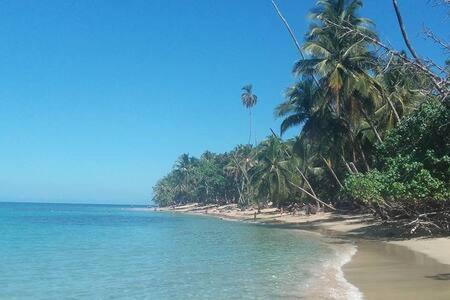 La Perla Del Caribe