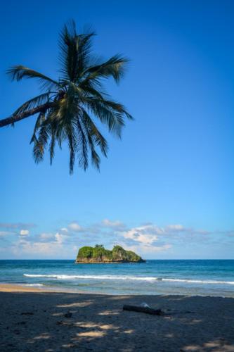 La Perla Del Caribe