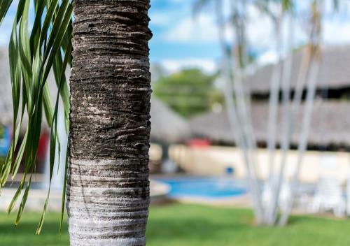 Hotel Guanacaste Lodge