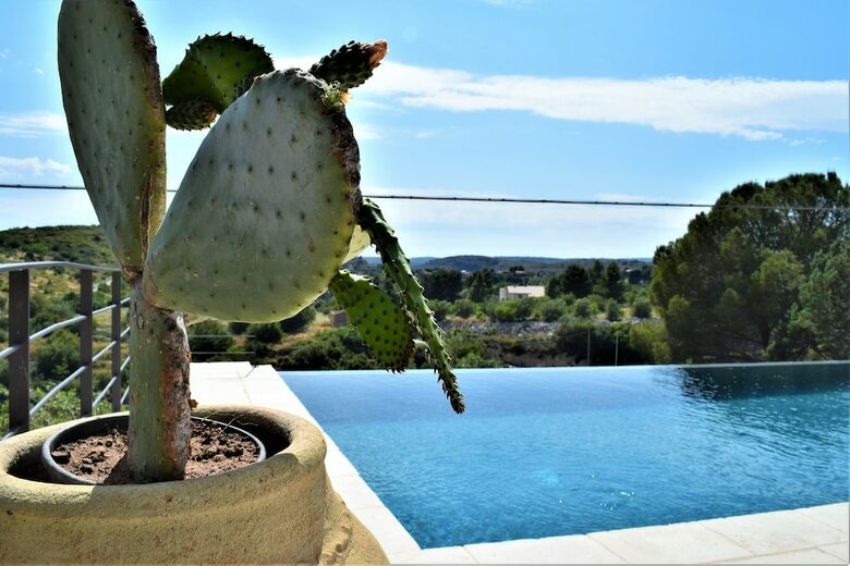 Apartamento Dream House