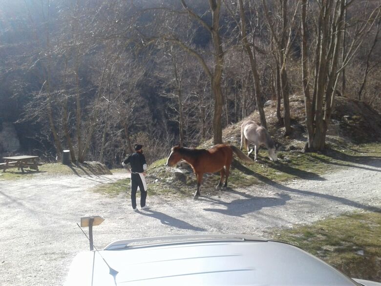 Posada Rifugio Escursionistico Cascina Porro