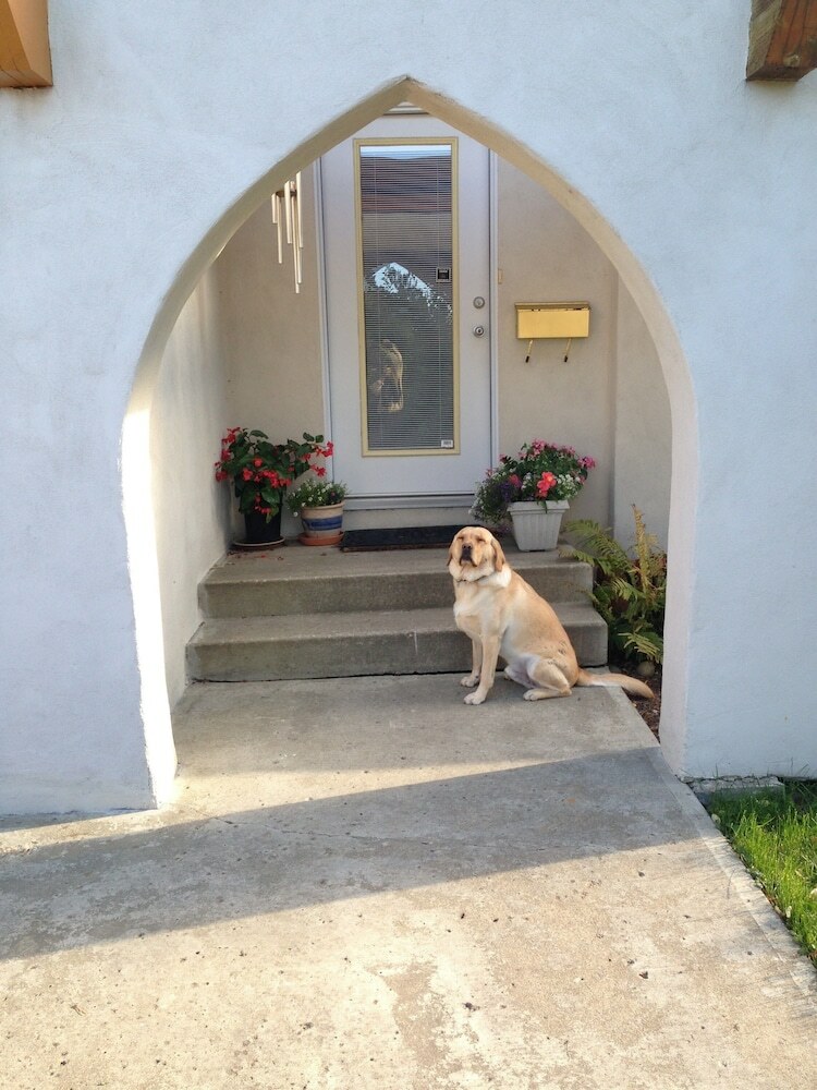 Bed & Breakfast Mediterranean Edmonton Bnb