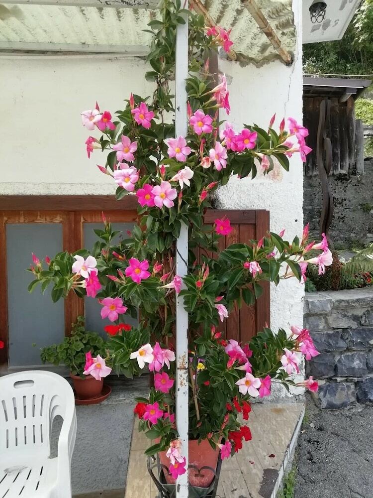Bed & Breakfast La Genzianella