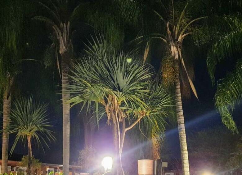 Palmier Hotel & Conven��es