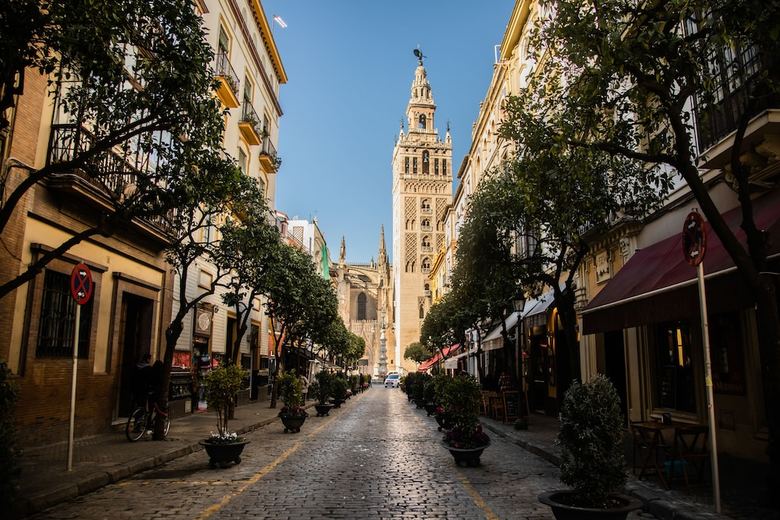 Apartamentos Duplex Cathedral Deluxe With Terrace