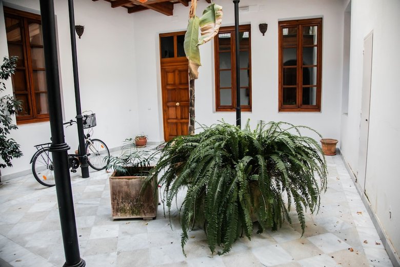 Apartamentos Duplex Cathedral Deluxe With Terrace