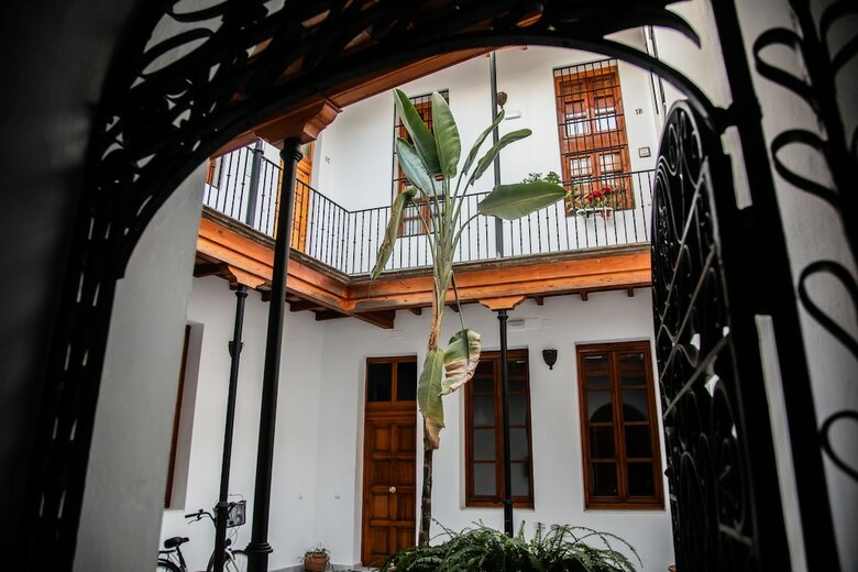 Apartamentos Duplex Cathedral Deluxe With Terrace