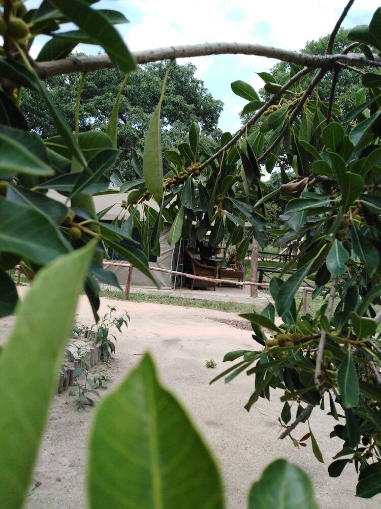 Andova Tented Camp