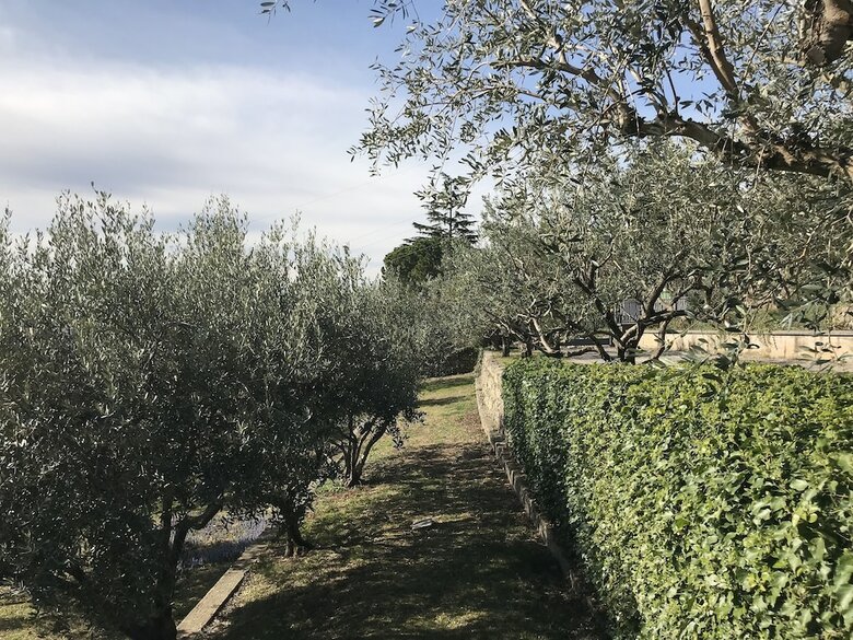 Bed & Breakfast Valpolicella Hills