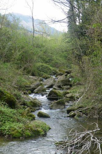 Apartamento Allotjaments Colomer-cullell