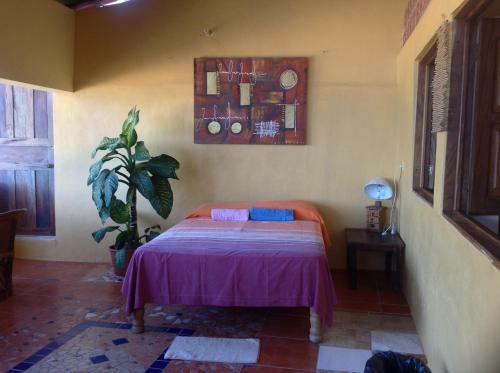 Apartamento Casas Garcia