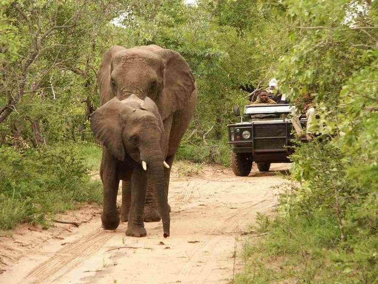 Posada Shumbalala Game Lodge
