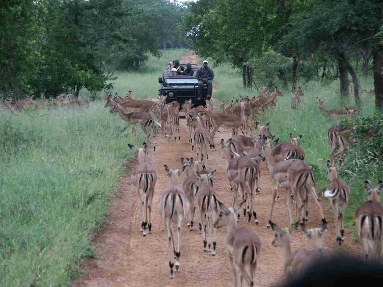 Posada Shumbalala Game Lodge