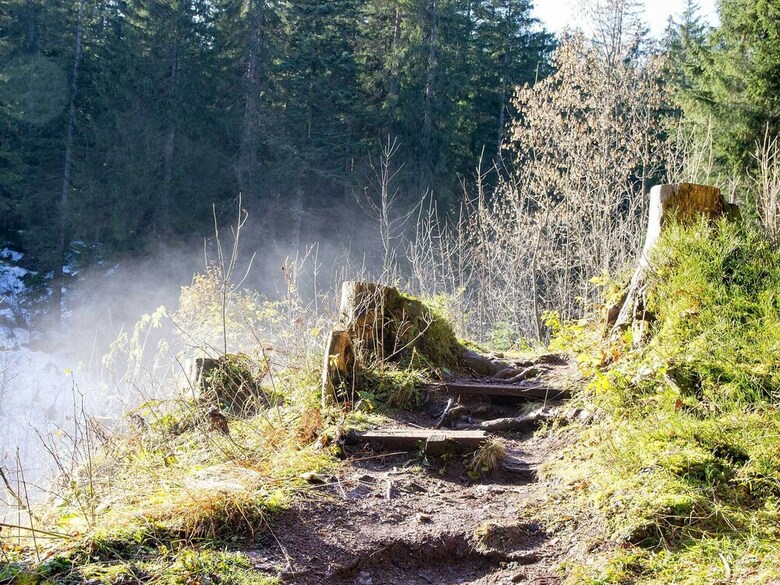 Pension Haus Wildbach