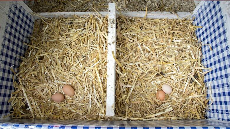 Pension Haus Wildbach