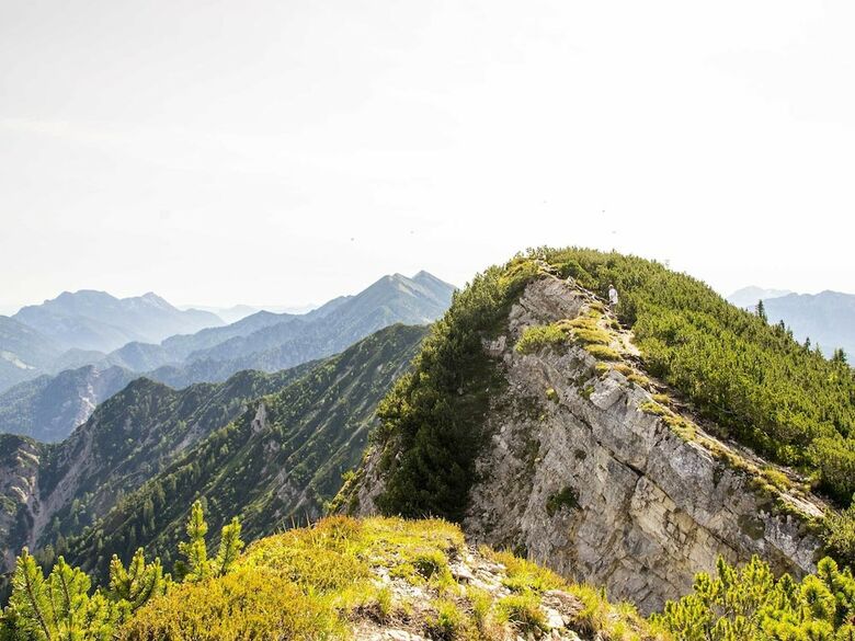 Pension Haus Wildbach