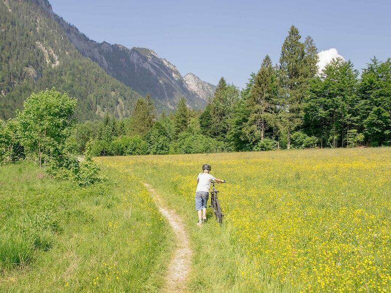 Pension Haus Wildbach