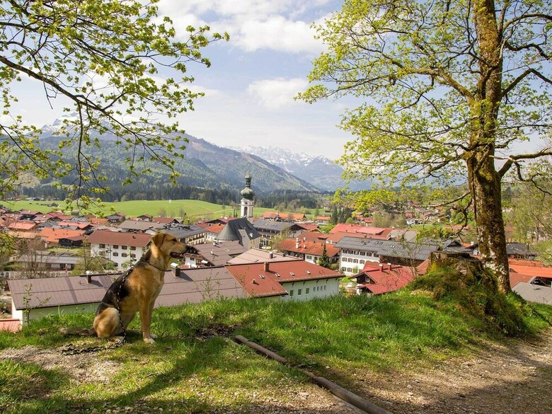 Pension Haus Wildbach