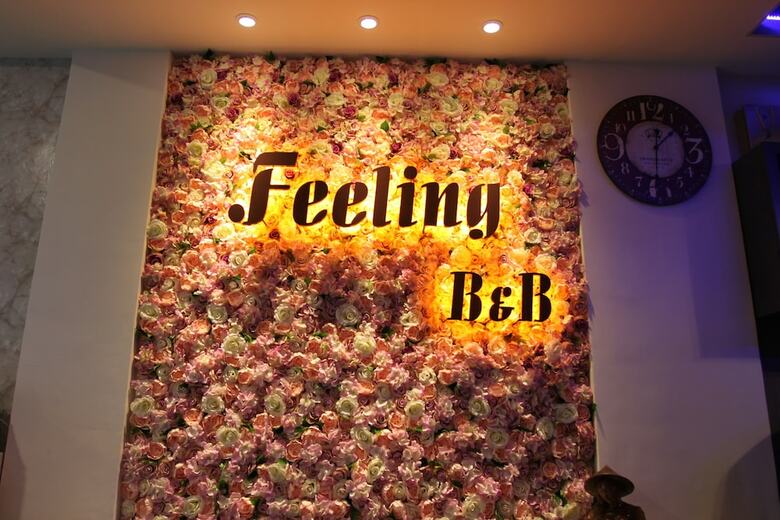 Hotel Feelingb&b