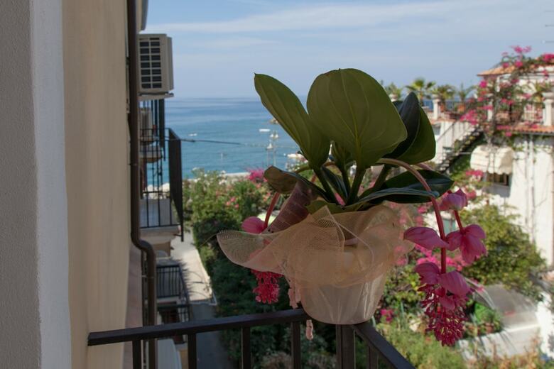 Apartamento Donna Lea
