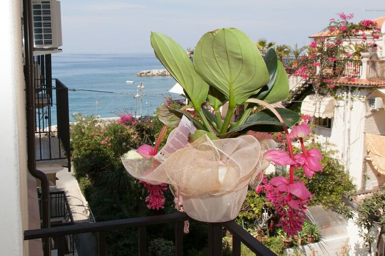 Apartamento Donna Lea