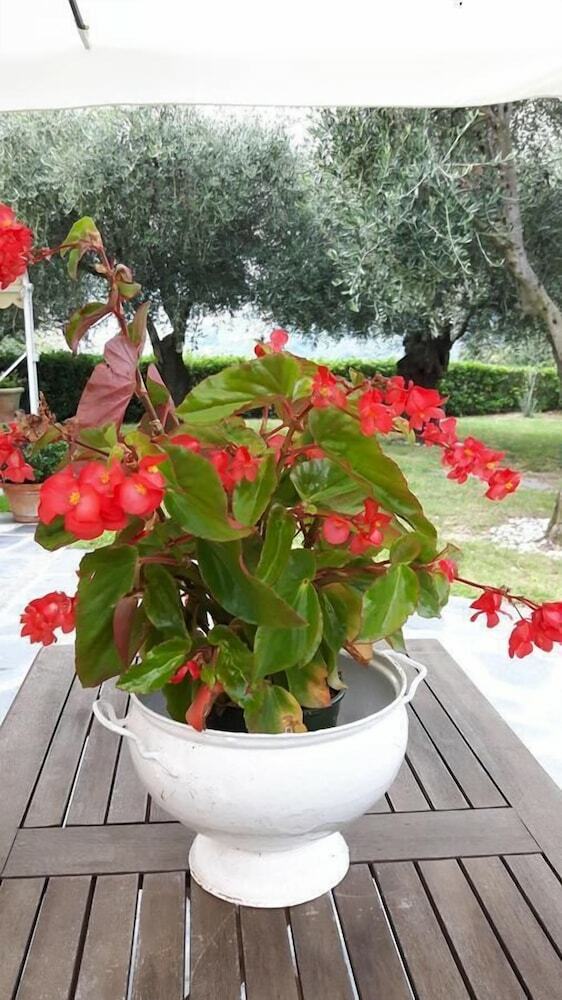 B&B La Casa Sul Colle