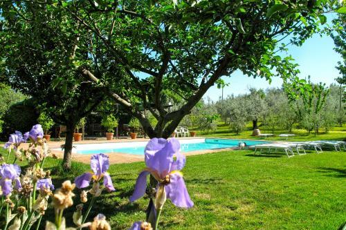 Agroturismo Agriturismo Filettro