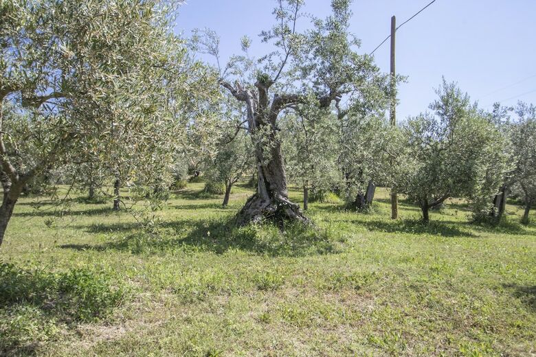 Agroturismo Agriturismo Filettro