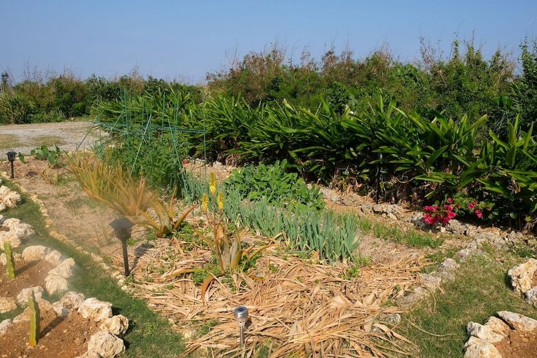 Cabana Natural Farm Zampa
