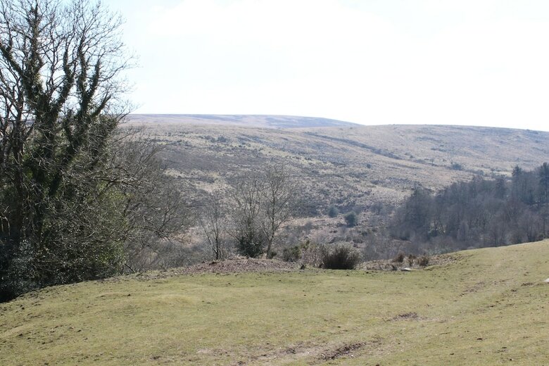 Dartmoor House B&B