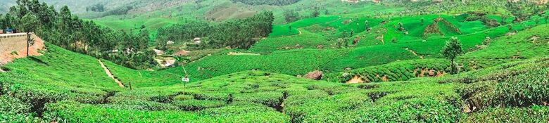 Apartamento Moon Hill Munnar