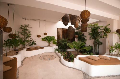 Hotel 40 Ca�ones