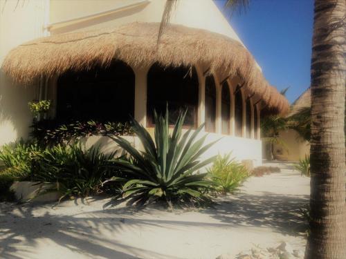 Hotel Balamku Inn On The Beach