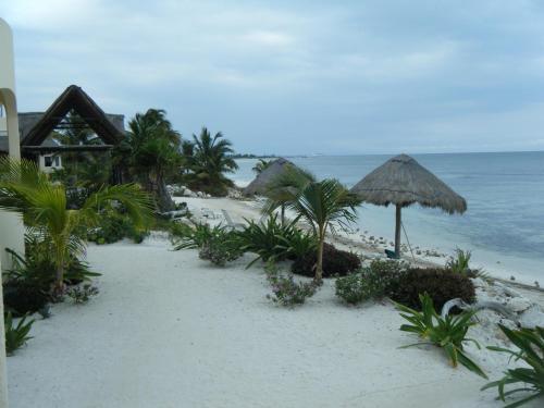 Hotel Balamku Inn On The Beach