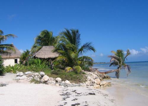 Hotel Balamku Inn On The Beach