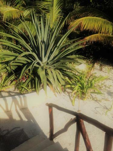 Hotel Balamku Inn On The Beach