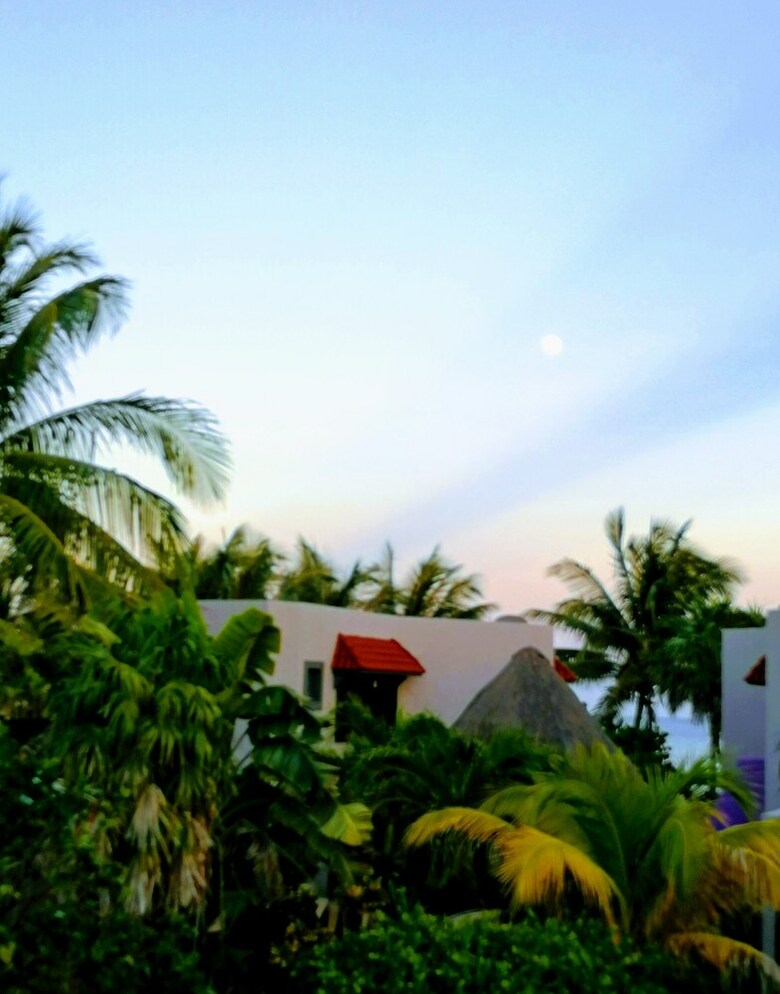 Margarita Del Sol Hotel Costa Maya