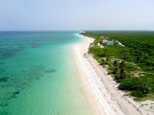 Hotel Almaplena Eco Beach Resort