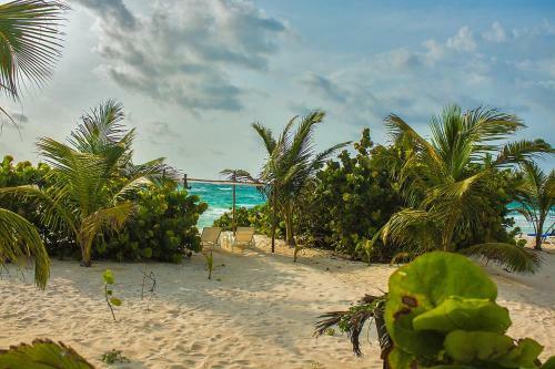 Hotel Almaplena Eco Beach Resort