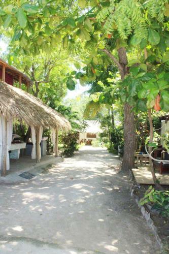 Hostal Villa Rosa