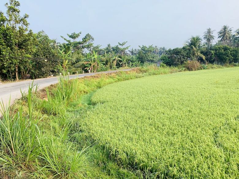 Hotel Thanh Tan Guesthouse