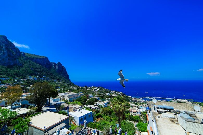 Villa Castello Apartments Capri