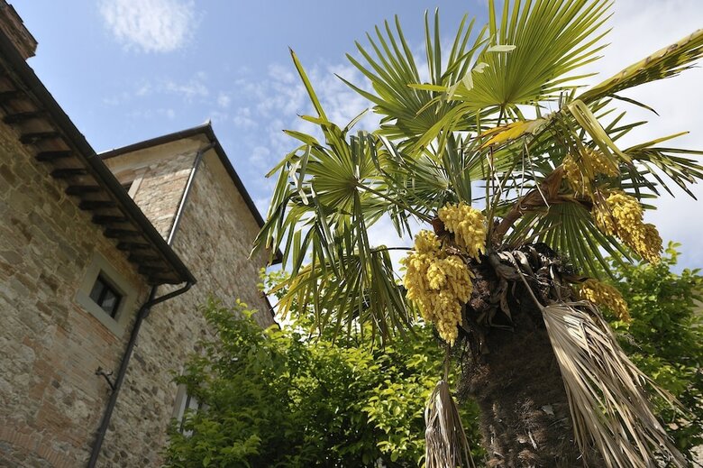 Hotel Villa Medicea Lo Sprocco