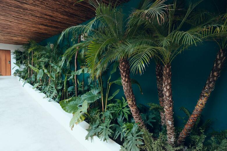 Hotel Kaab Tulum