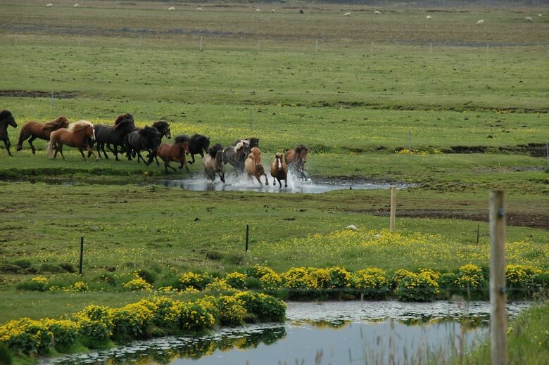 Sm�rat�n Farm Eco Lodges