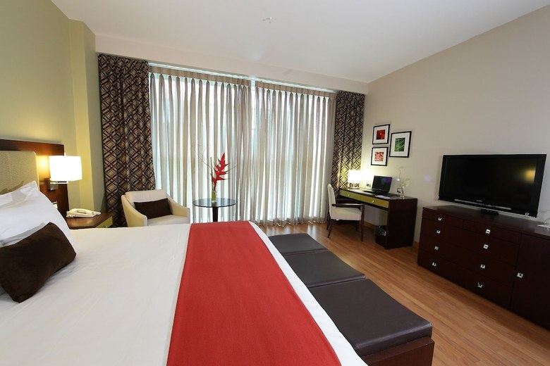 Hotel Ciudad De David