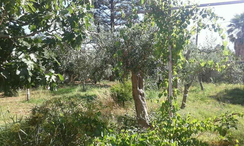 Casa Vacanze Summertime