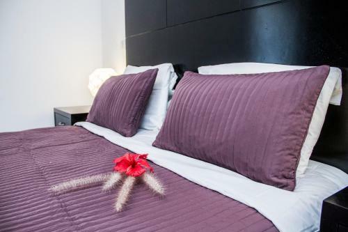 Apartamentos Karibo Punta Cana