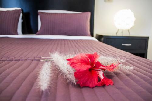 Apartamentos Karibo Punta Cana