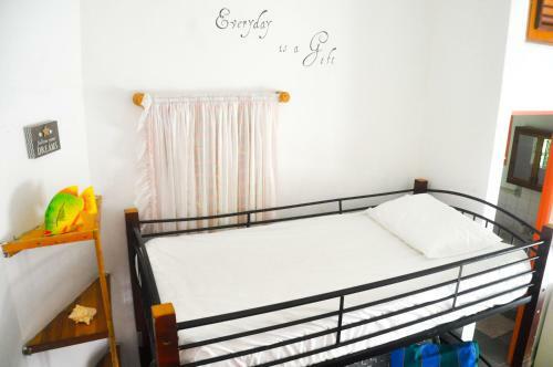 Casa Delfin B&B